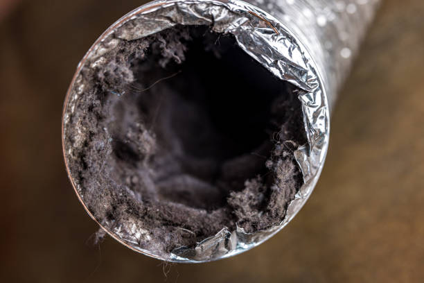 Best Affordable HVAC Duct Cleaning  in Coupeville, WA